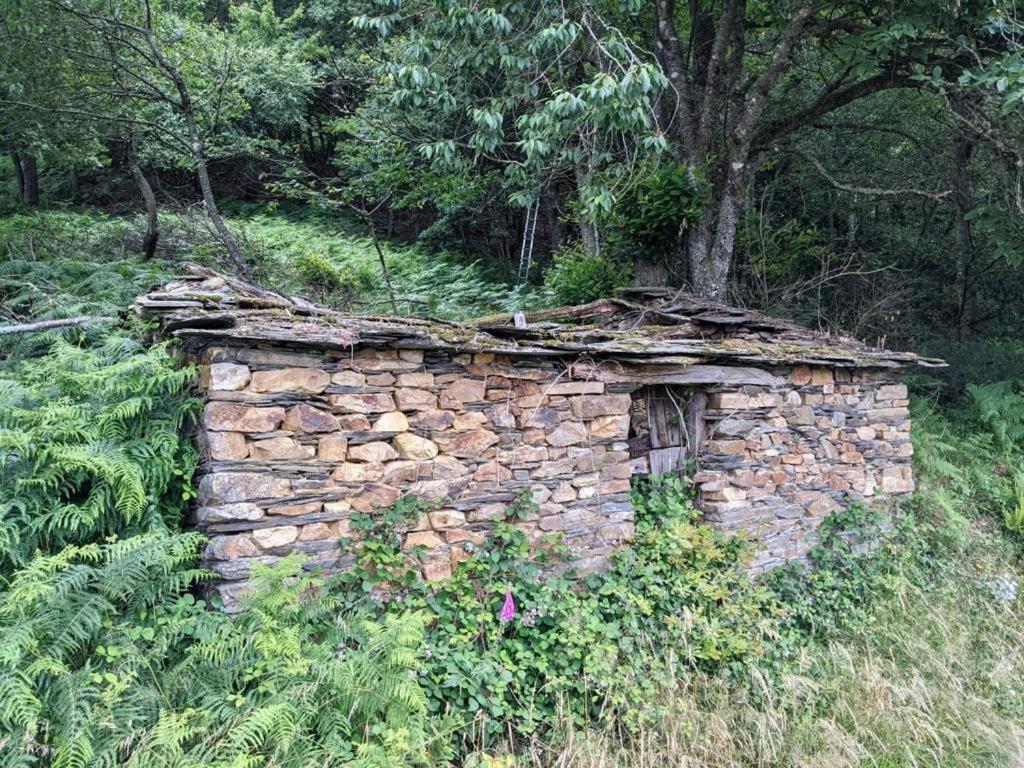 Ahio San Martin, Apartamentos Rurales Casa De La Villa San Martin de Oscos المظهر الخارجي الصورة